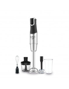 Batidora Varilla Moulinex DD95HD10  1200w  Metal 